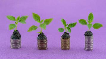 rad av mynt med grön växt vissnar och springer till liv växt växer på pengar mynt affärstillväxt investeringskoncept. foto