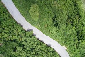 flygfoto kurva väg i skogen gröna sommarträd drönare kamera uppifrån och ner utsikt fantastiskt landskap hög vinkelvy. foto