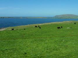 shetlandsöarna i Skottland foto