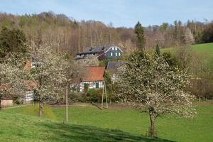 våren, bergisches land, tyskland foto