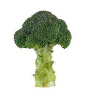 broccoli isolera på vitt foto