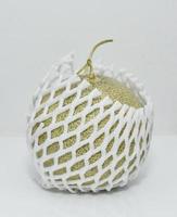 japanska meloner med dämpande skum på vit bakgrund foto