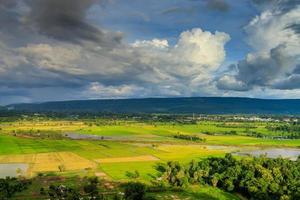 risfält med regnperiodens himmel foto
