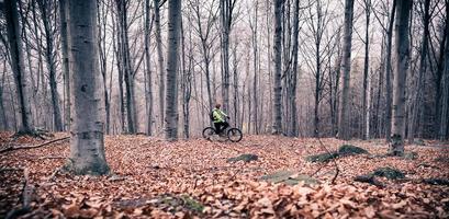 mountainbiker på cykelleden i skogen foto