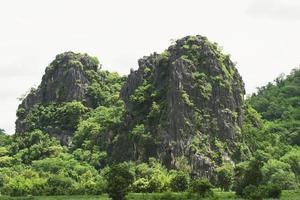 rock berg kulle med grön skog isolera på vit bakgrund foto