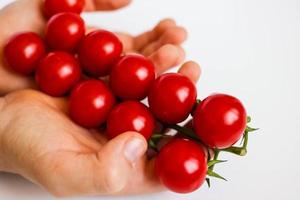 ljusröda färska tomater på mänskliga händer. foto