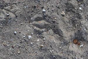 detaljerad närbild på sand på en strand vid Östersjön foto