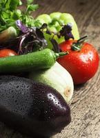 färsk aubergine, tomater, paprika, zucchini, vitlök och örter