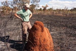 man som inspekterar en termithög nära en bit mark som sattes i brand nära indianreservatet Tuxa i nordvästra Brasilien, Brasilien foto