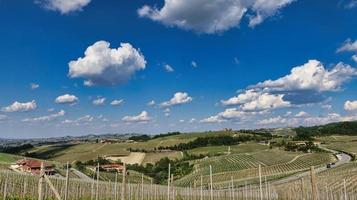 landskap av den piemontesiska langhe of barolo och monforte d'alba med sina vingårdar under våren 2022 foto