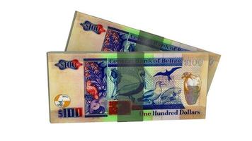 belize dollar är den officiella valutan i belize foto