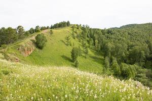 berg täckta med grönt gräs och träd på sommaren. foto