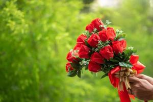 en mans hand gav en röd blomma på alla hjärtans dag, en vacker grön bakgrund. foto