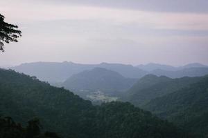 vacker natur, himmel, träd, kvällsatmosfär i khao yai nationalpark, thailand foto