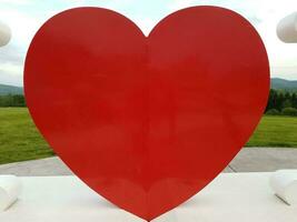 stort rött hjärta form på nära håll med gräs foto