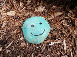 blått ansikte med leende på sten och brun kompost foto