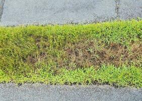 svart asfalt med en remsa av grönt gräs foto