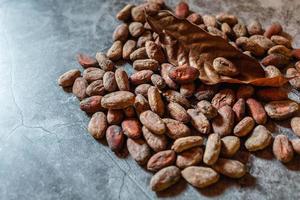 bruna torkade kakaobönor på mortel yta bakgrund foto
