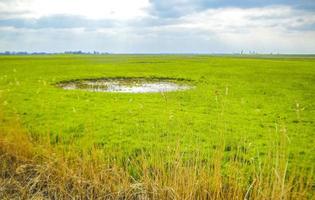 nordtyska kusten naturlandskap panorama från bremerhaven tyskland. foto