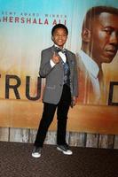 los angeles - 10 januari isaiah c morgan på premiärvisningen av the true detective säsong 3 på directors guild of america den 10 januari 2019 i los angeles, ca. foto