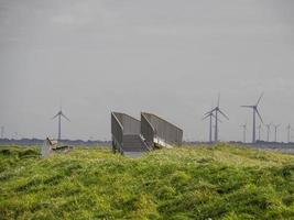 ön spiekeroog i tyskland foto