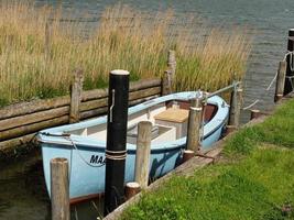 maasholm vid floden schlei i tyskland foto