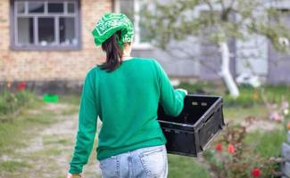 en kvinnlig bonde som arbetar utomhus på bakgården till ett hus en solig vårdag staplar tomma plastlådor nära växthus. kaukasisk kvinna trädgårdsmästare arbetar i hemträdgård. foto