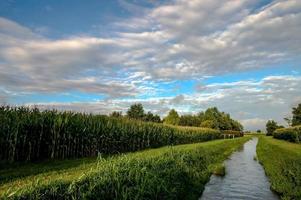 en liten flod och molnig himmel foto