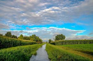 en liten flod och molnig himmel foto