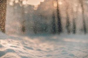 närbild av vinterdetaljer. suddig vinterlandskap frostiga träd i snöig skog i den soliga morgonen. lugn vinternatur i bokeh solljus foto