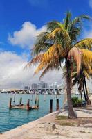 Miami stad tropisk utsikt foto