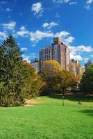 new york city manhattan central park foto