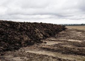 förbereda jorden för plantering. organisk gödningsmedel och jord textur bakgrund. toppvy. foto