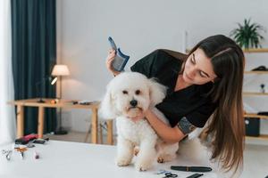 fluffigt hår. söt liten hund är i grooming studio foto