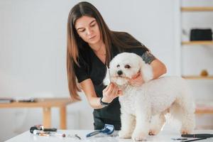 kvinna som tar hand om husdjuret. söt liten hund är i grooming studio foto