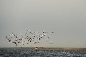 majestätisk utsikt över stranden i Afrika foto