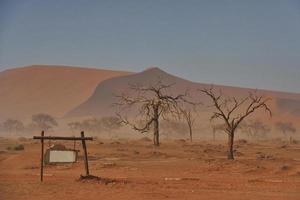 träd som är döda är i sanden. majestätisk utsikt över fantastiska landskap i den afrikanska öknen foto