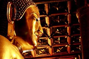 huvudet av buddhastatyn. stor gyllene huvud del av buddha staty i thailand. foto
