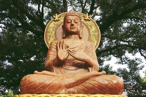 huvudet av buddhastatyn. stor gyllene huvud del av buddha staty i thailand. foto