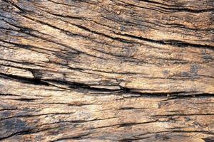 bakgrund med gamla trä spruckna textur foto