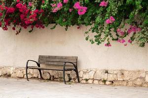 vacker plats med en bänk som står nära en vägg med röda bougainvillea blommor på toppen foto