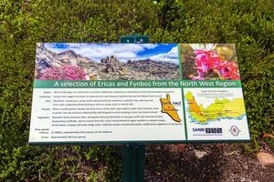 Kapstaden västra Kap Sydafrika 2018 fynbos och ericas grön turkos informationsskylt, kirstenbosch. foto
