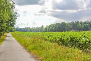 nordtyska jordbruksfält skog träd natur landskap panorama tyskland. foto
