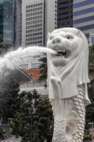 singapore, 2012. merlion fontän i singapore foto