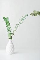 våren eucaliptus gröna grenar i vit vas. mockup för produktplacering eller motiverande inskription. lätt och luftig mock up. minimal skandinavisk nordisk stildesign. vertikal. foto