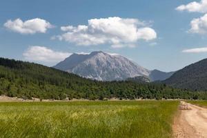 mounth tahtali verkar mellan vetefält foto