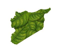 syrien karta gjord av gröna löv på vit isolerad bakgrund foto