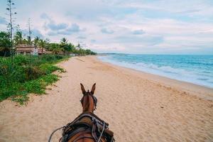 häst på en tropisk strand med vit sand. turister som rider på stranden i porto seguro, bahia - brasilien foto