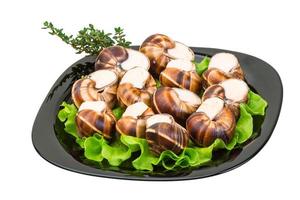 escargotsniglar på en tallrik med sallad foto