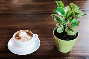 varm kaffe latte kopp med liten grön träd dekoration potten foto